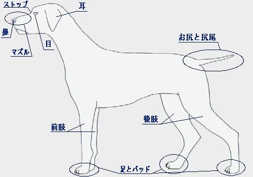 Hundehutte 基本コーナー２