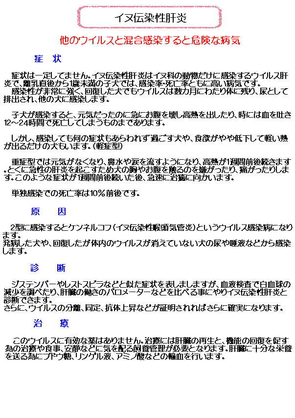 イヌ伝染性肝炎.JPEG