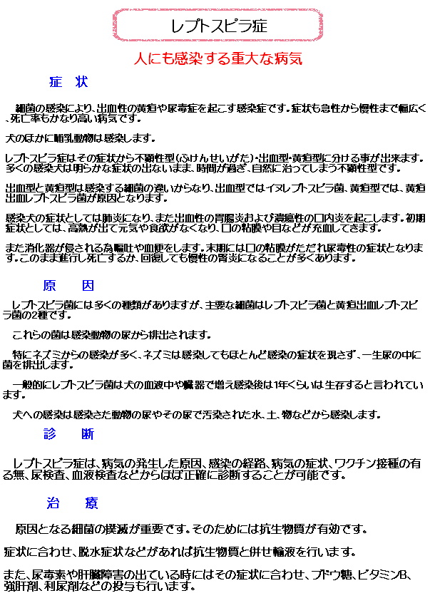 レプトスピラ症.JPEG